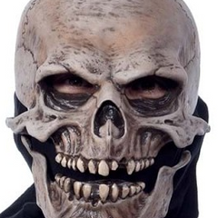 Collection image for: Halloween